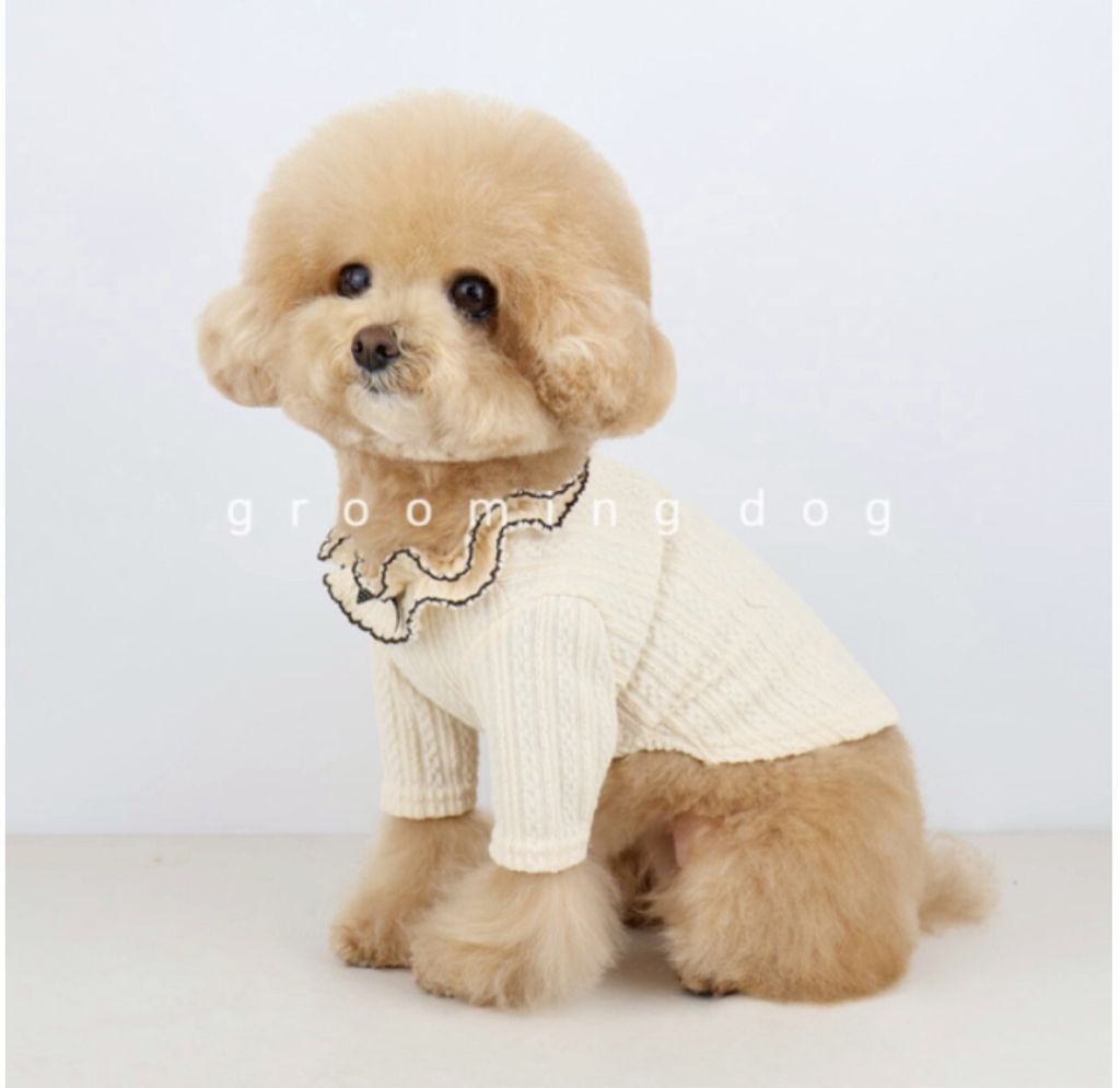 LINE_ALBUM_Groomingdog 2_260227_8