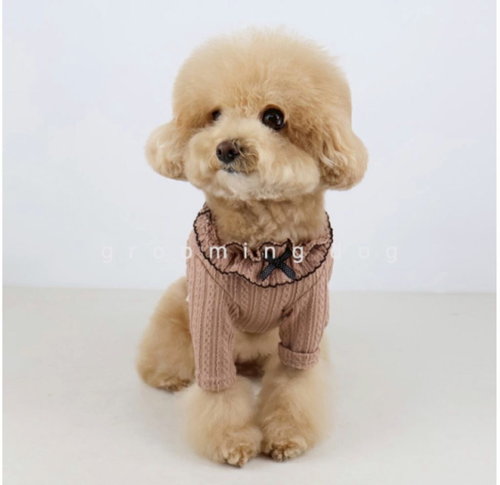 LINE_ALBUM_Groomingdog 2_260227_11