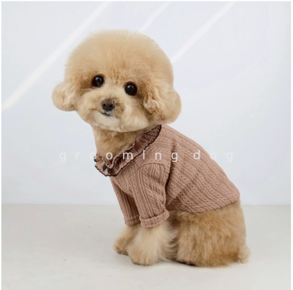 LINE_ALBUM_Groomingdog 2_260227_15