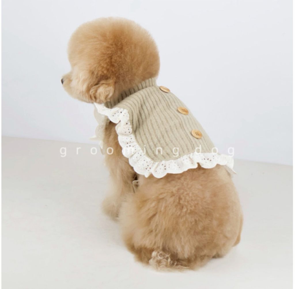 LINE_ALBUM_Groomingdog 2_260227_29