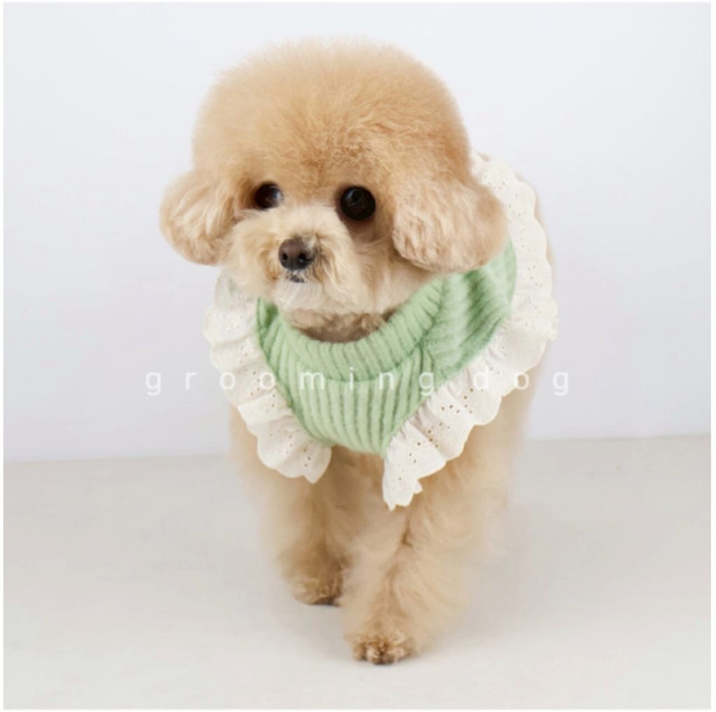 LINE_ALBUM_Groomingdog 2_260227_28