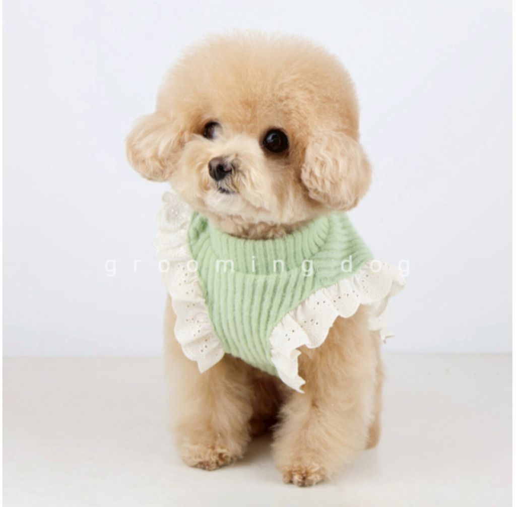 LINE_ALBUM_Groomingdog 2_260227_27