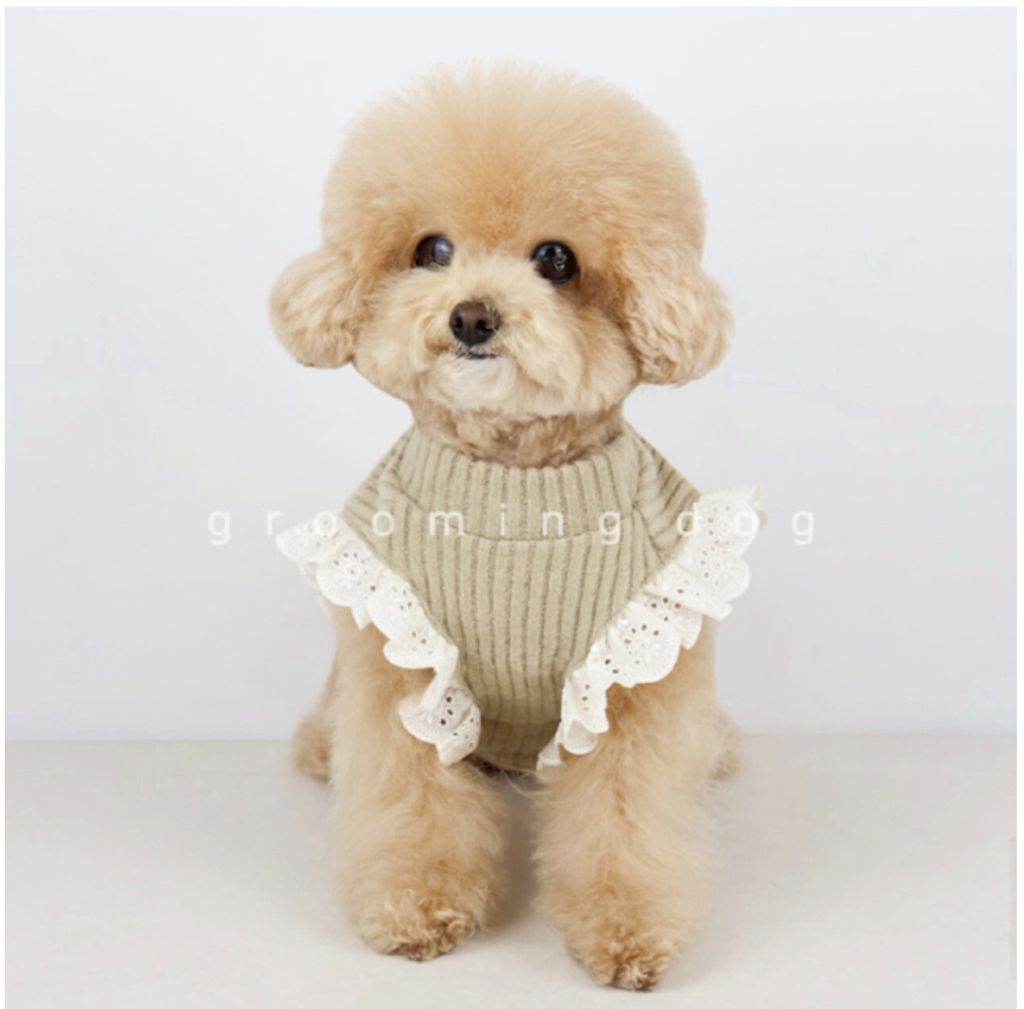 LINE_ALBUM_Groomingdog 2_260227_26