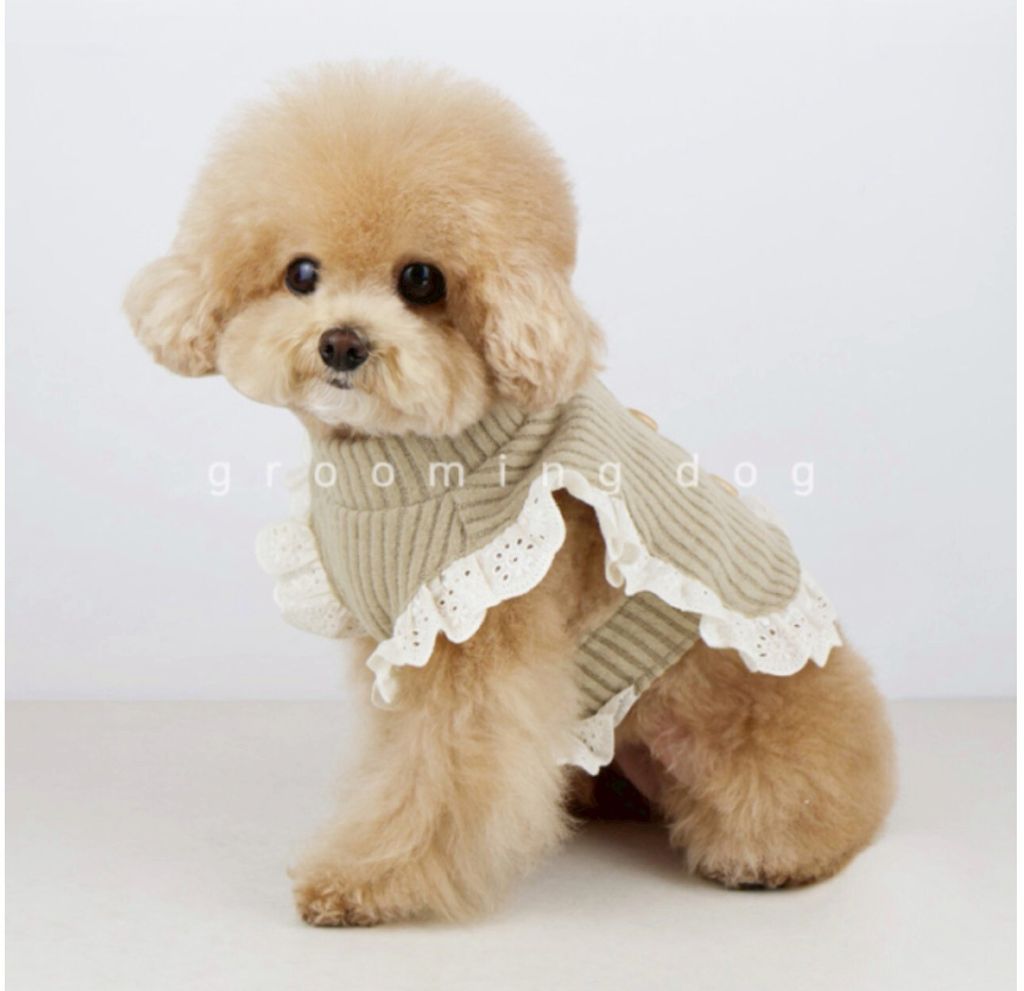 LINE_ALBUM_Groomingdog 2_260227_30