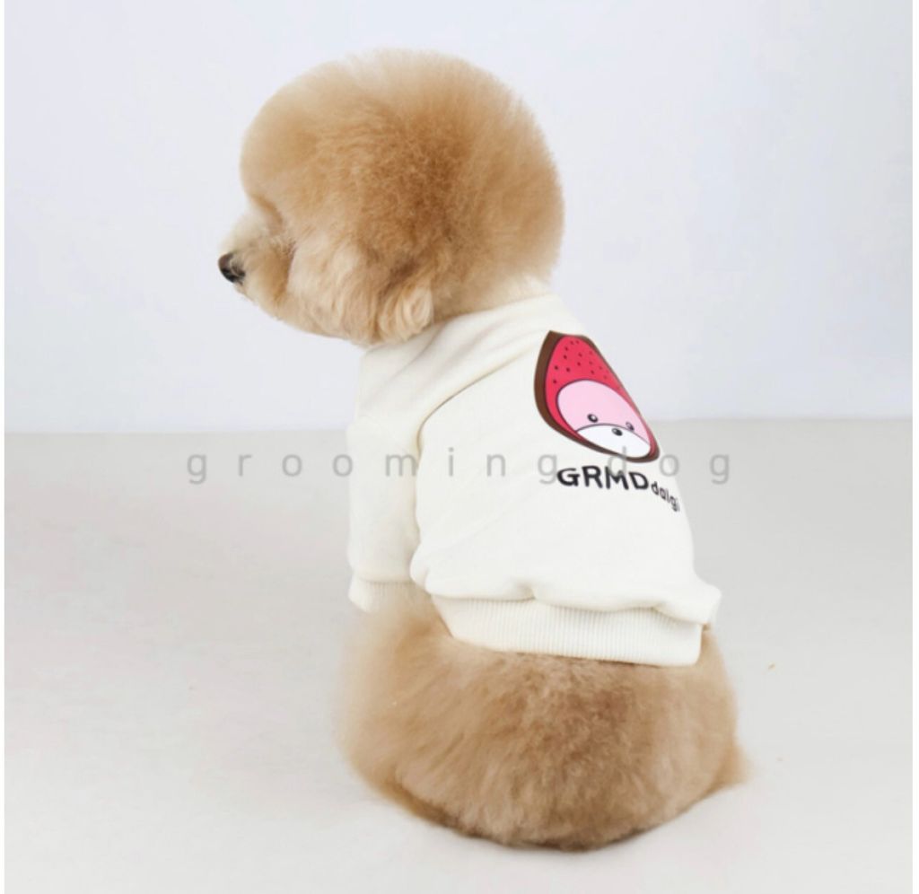 LINE_ALBUM_Groomingdog 2_260227_41