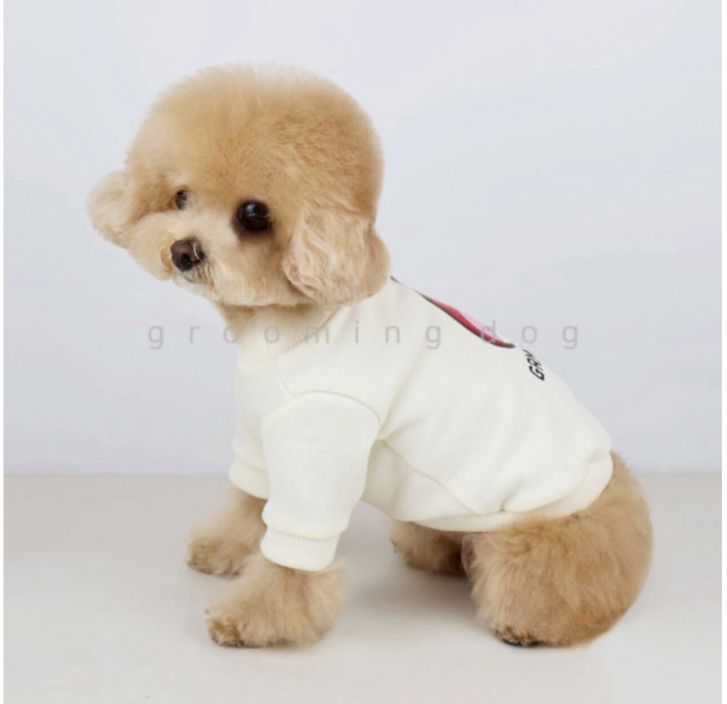 LINE_ALBUM_Groomingdog 2_260227_42