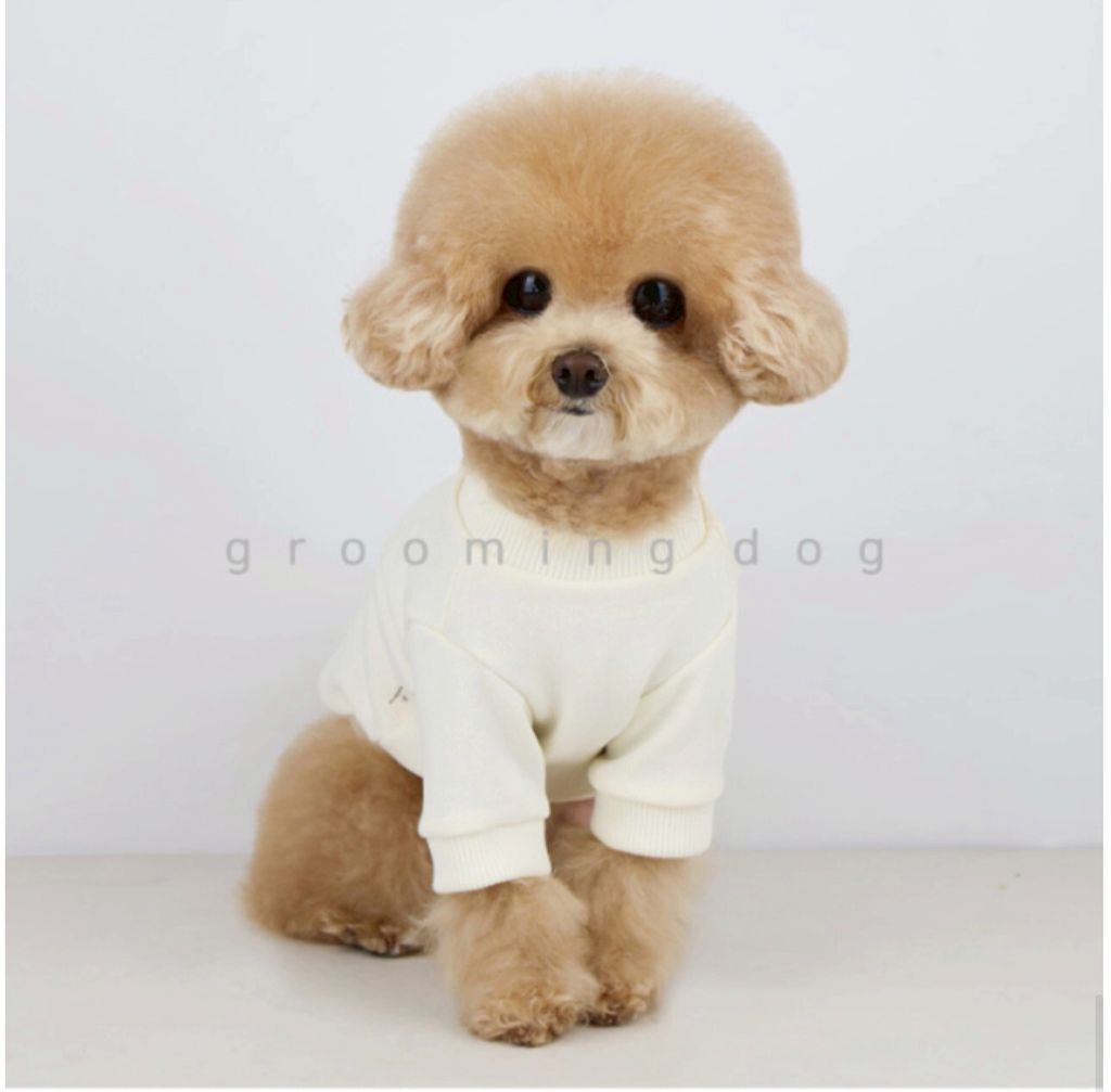 LINE_ALBUM_Groomingdog 2_260227_43