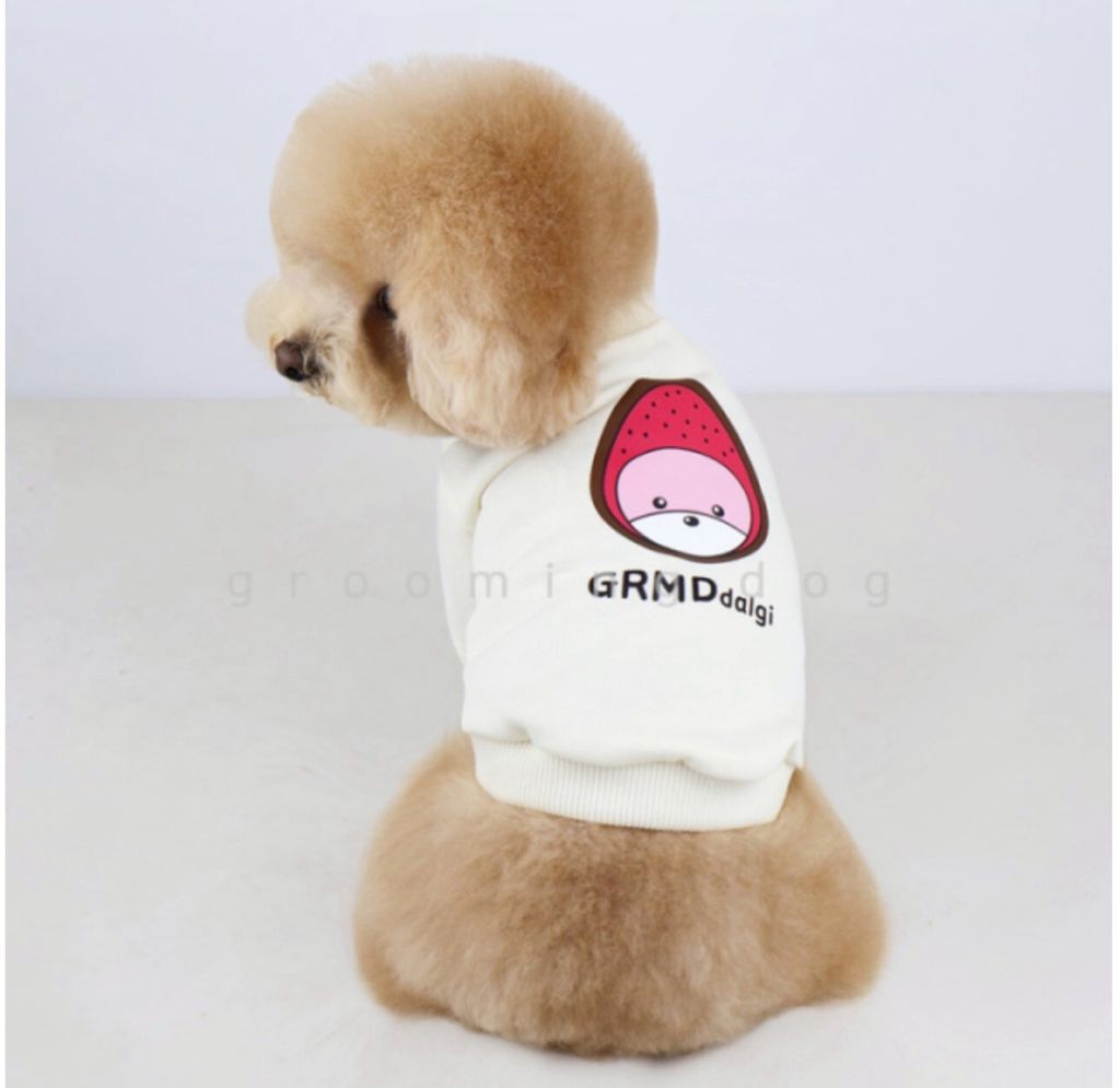 LINE_ALBUM_Groomingdog 2_260227_48