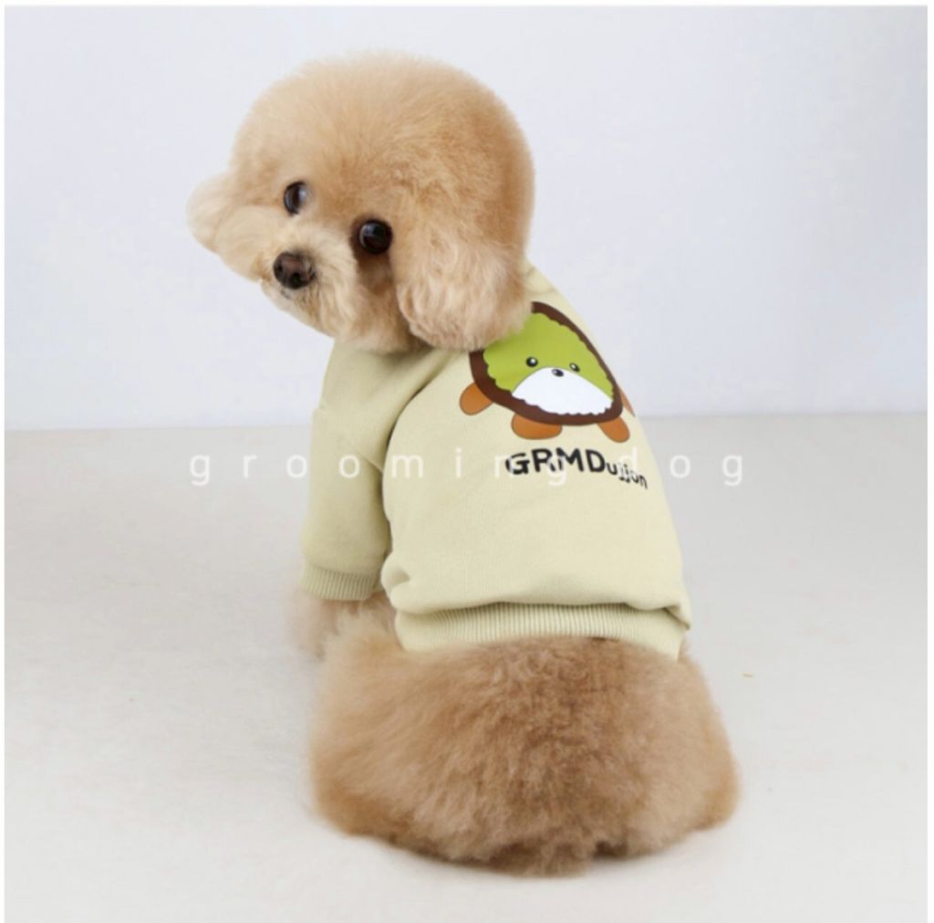 LINE_ALBUM_Groomingdog 2_260227_52