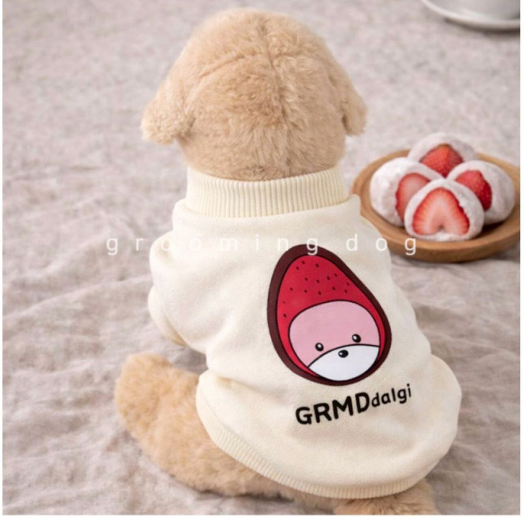 LINE_ALBUM_Groomingdog 2_260227_53