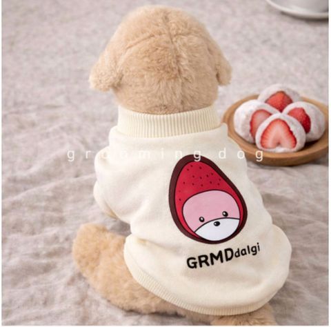 LINE_ALBUM_Groomingdog 2_260227_53