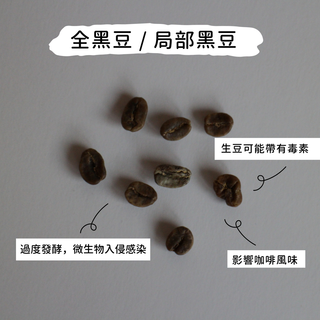 全黑豆