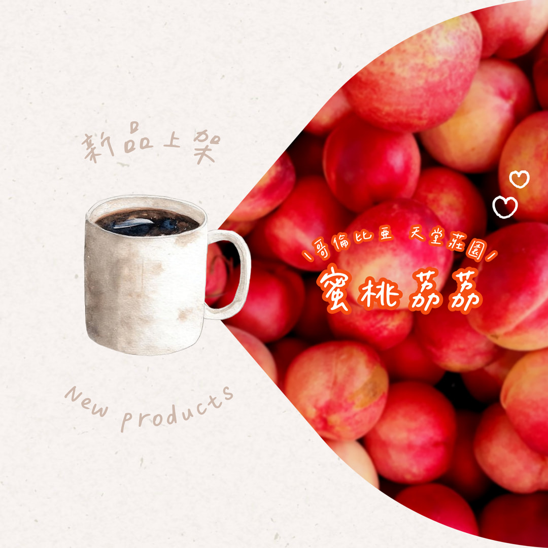  | 72小時咖啡 / 72 Hours Cafe 自家烘焙工作室