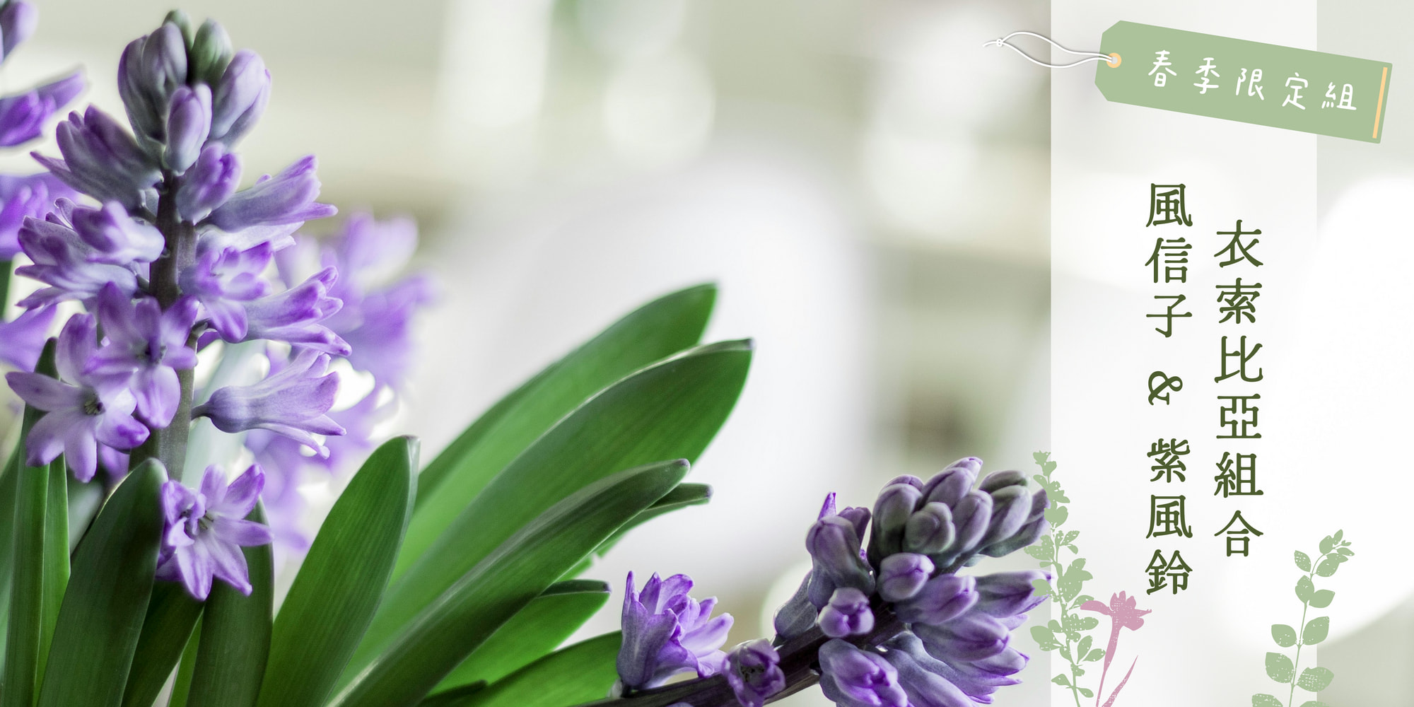  | 72小時咖啡 / 72 Hours Cafe 自家烘焙工作室