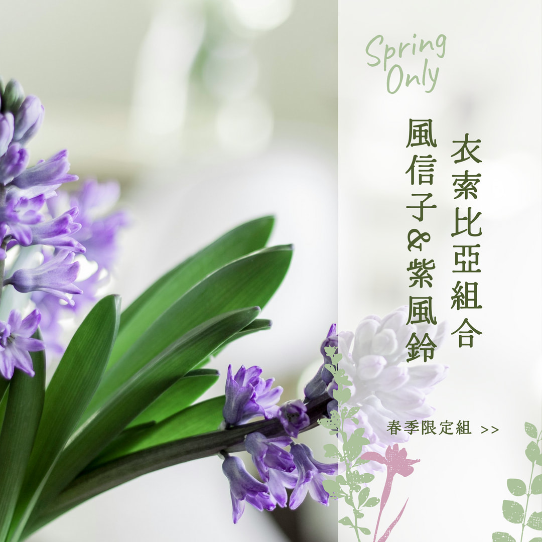  | 72小時咖啡 / 72 Hours Cafe 自家烘焙工作室