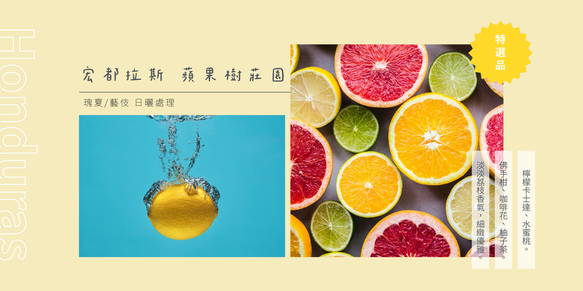  | 72小時咖啡 / 72 Hours Cafe 自家烘焙工作室