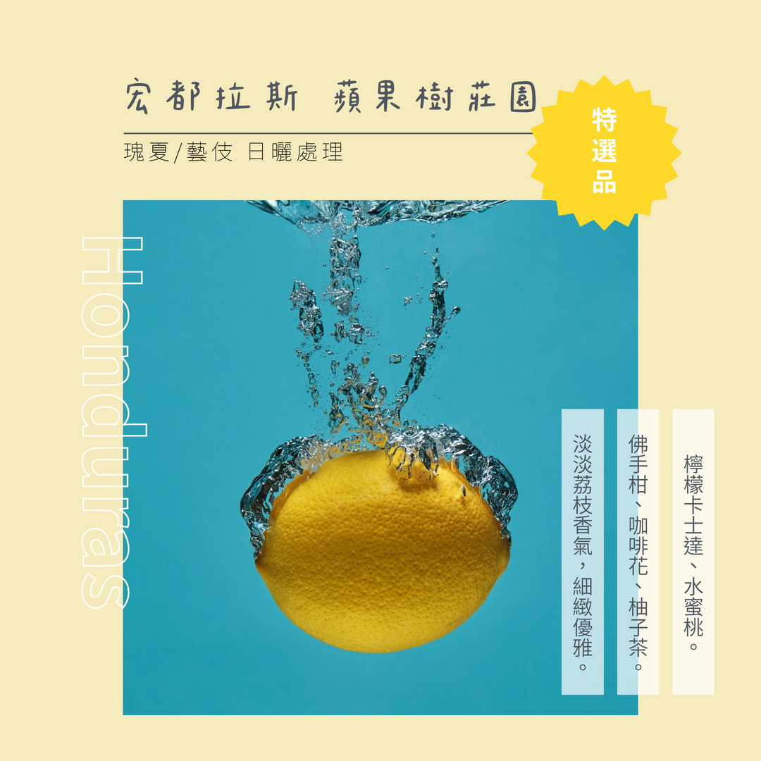  | 72小時咖啡 / 72 Hours Cafe 自家烘焙工作室