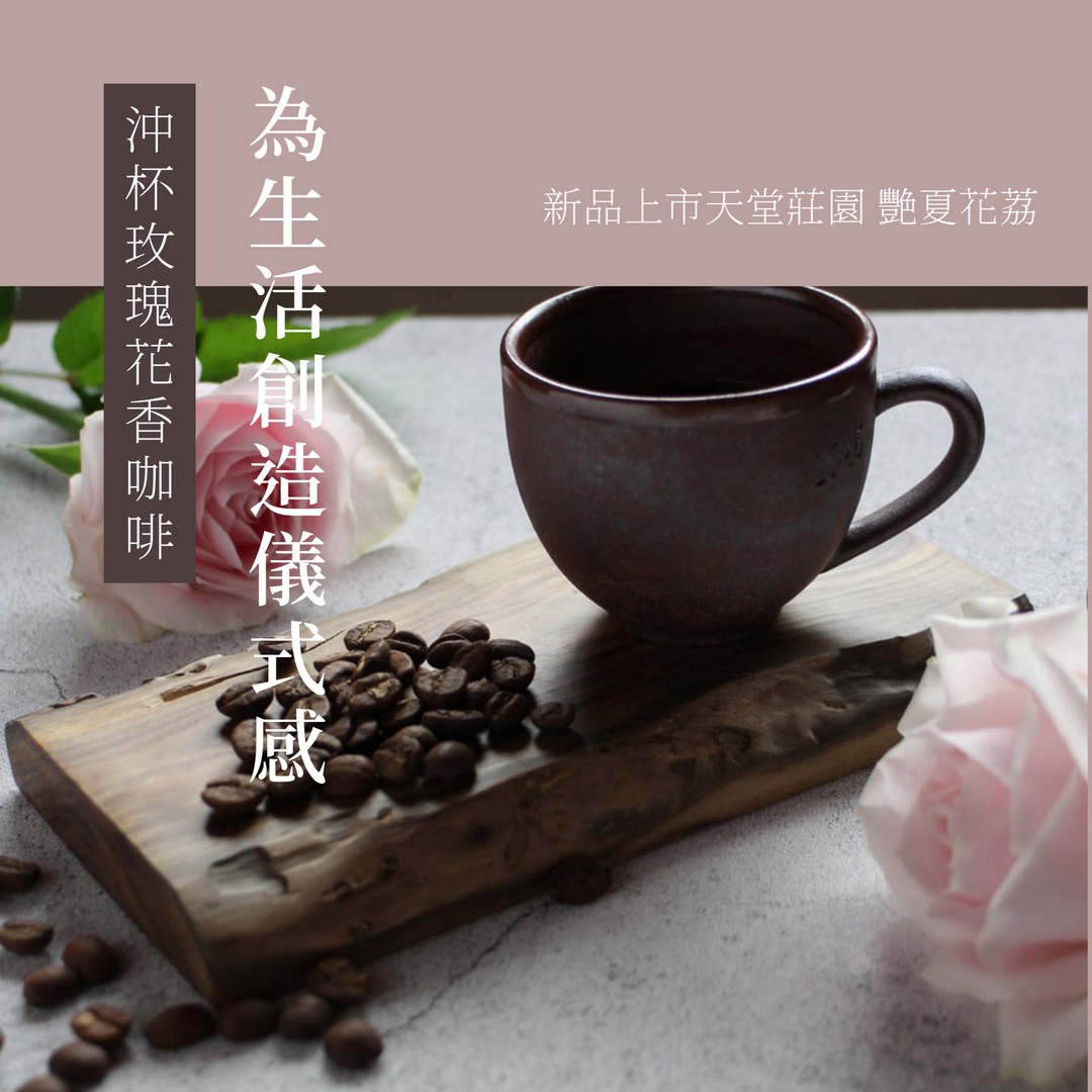  | 72小時咖啡 / 72 Hours Cafe 自家烘焙工作室