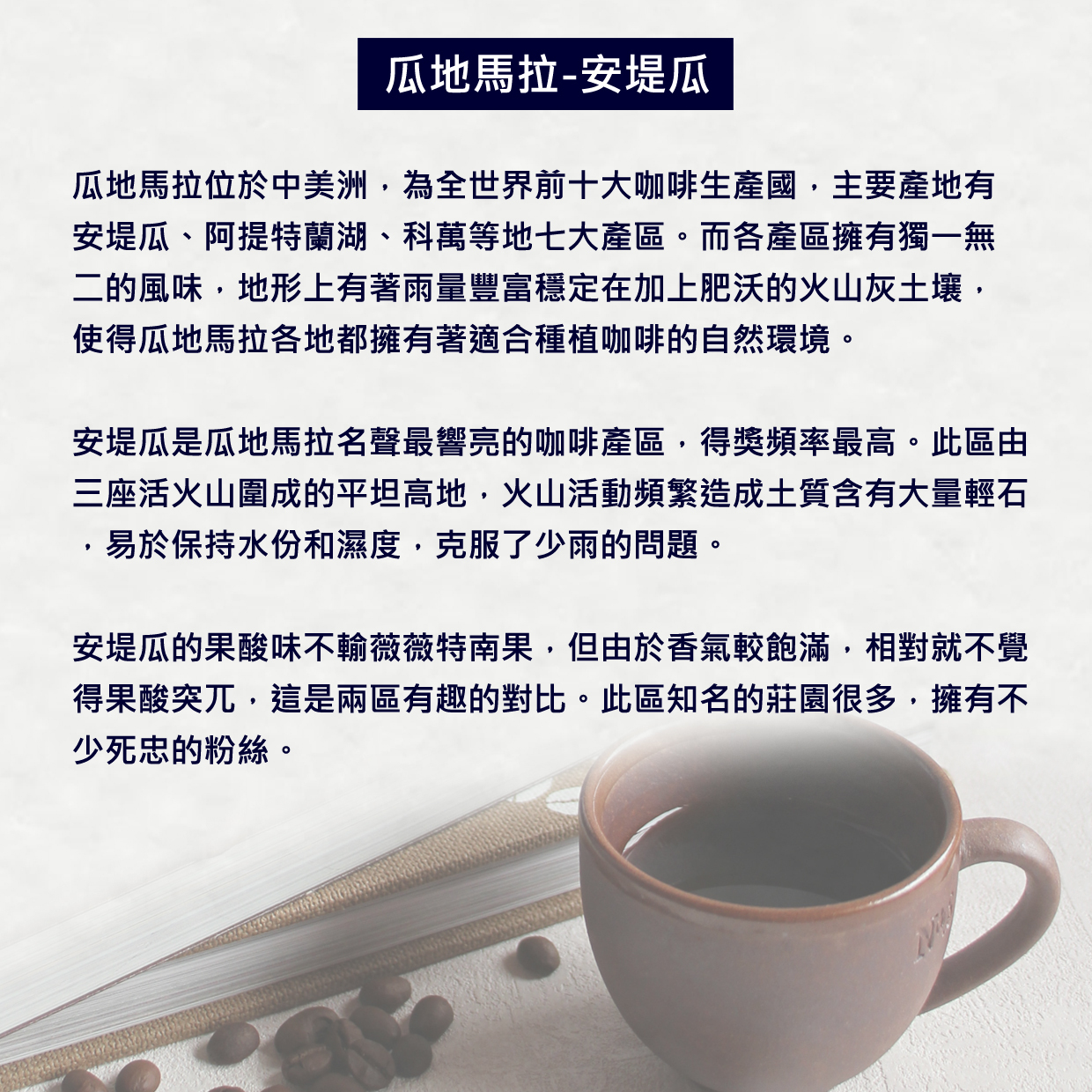 安堤瓜-2