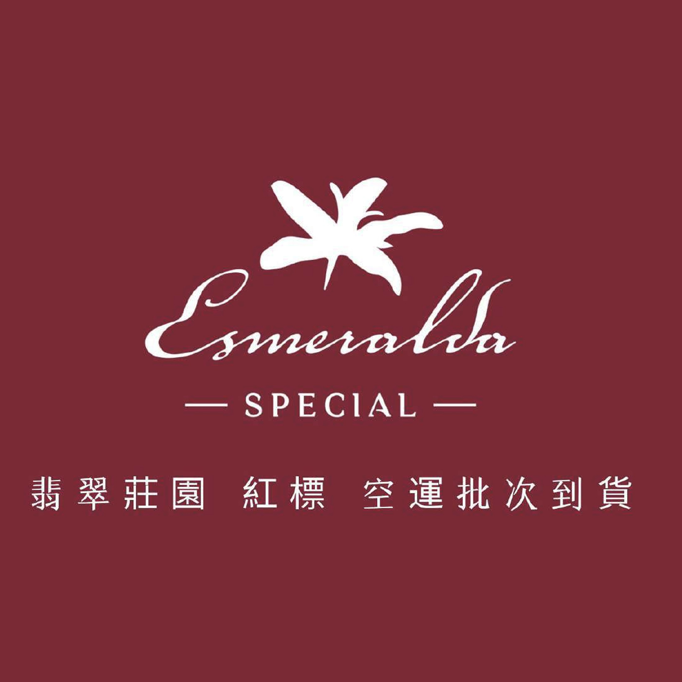 螢幕擷取畫面 2025-10-14 110403.png