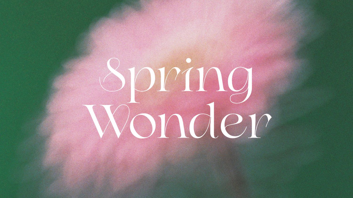 Nobana Studio | Spring Wonder