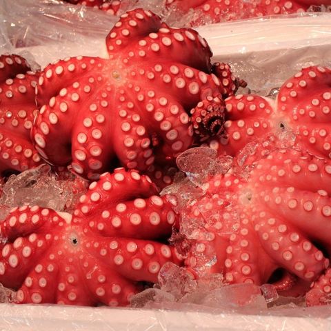 Copy of get special offer.jpg