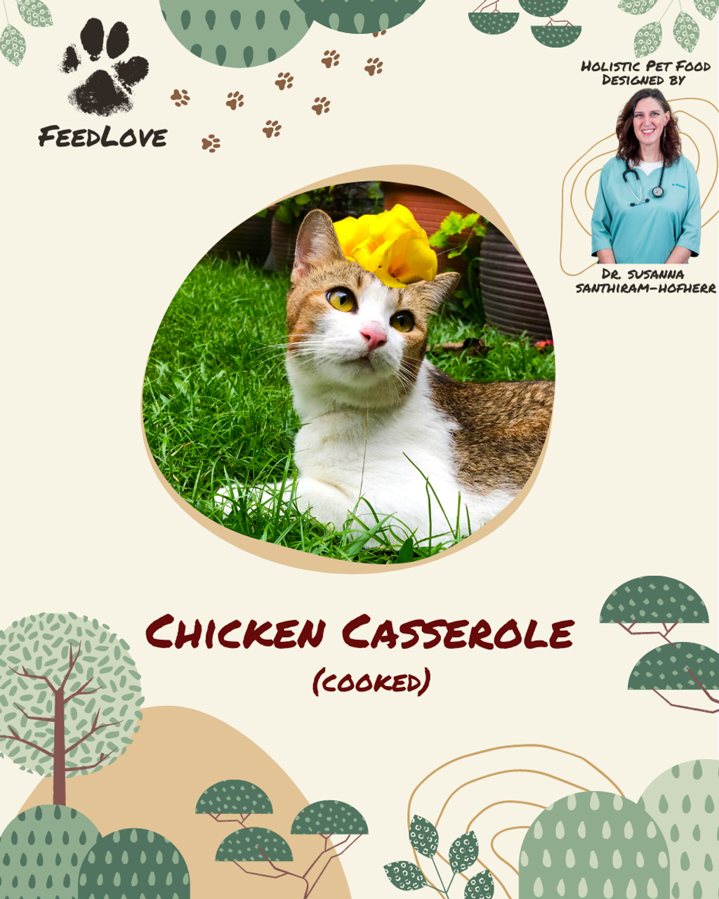 Chicken Casserole.png
