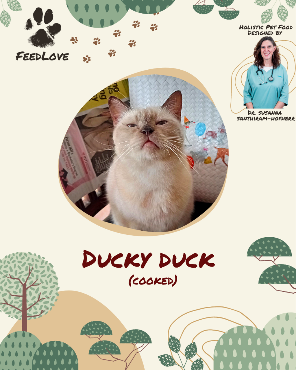Ducky Duck.png