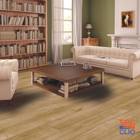 Poplar-Wood-81969-02