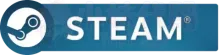 Steam