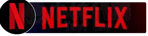 netflix網飛