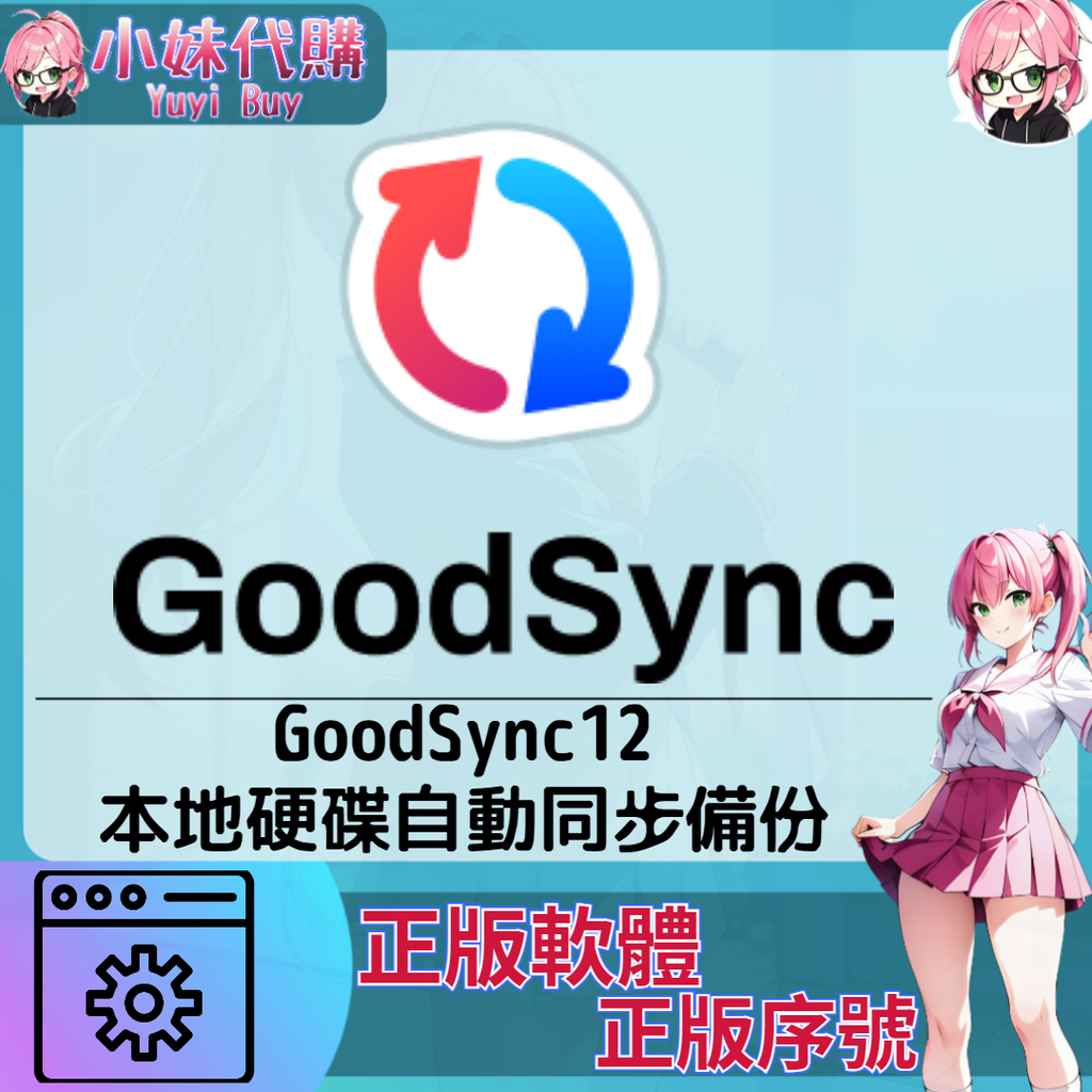 GoodSync 12