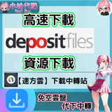 螢幕擷取畫面 2025-01-13 082310