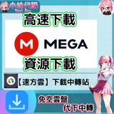 螢幕擷取畫面 2025-01-13 082240