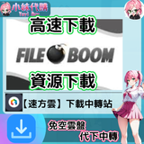 螢幕擷取畫面 2025-01-13 082211