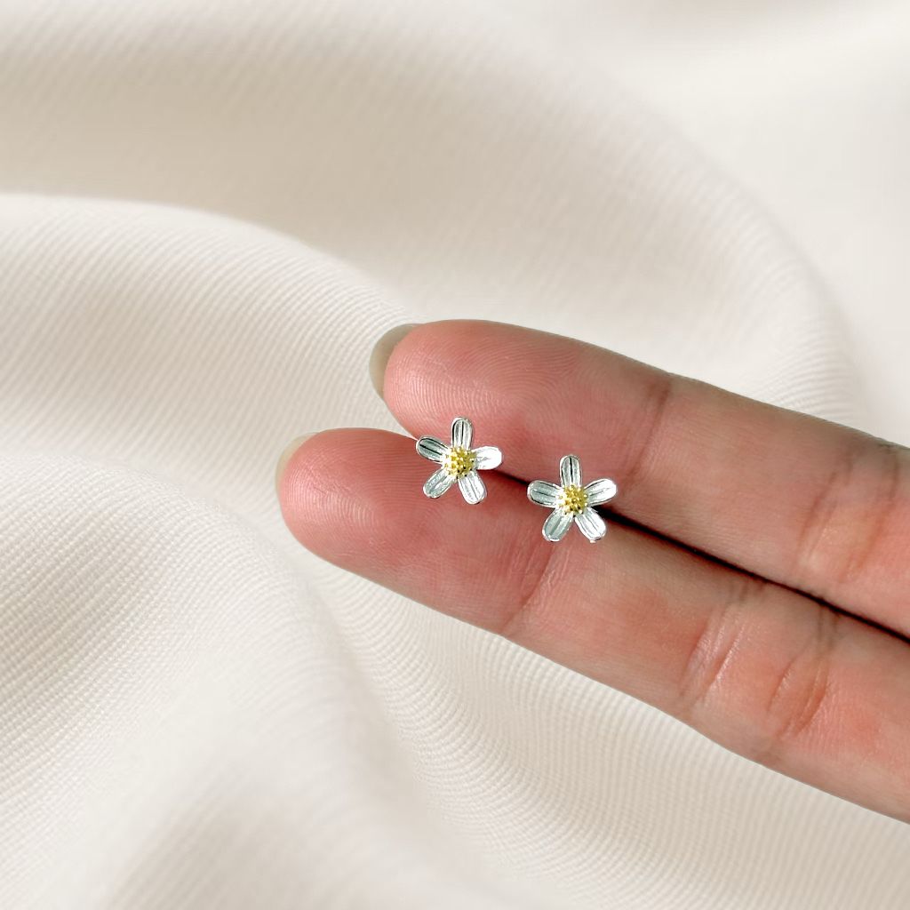 image_E3954848-5C6F-4006-A703-1A16DDB139EA_1763974206