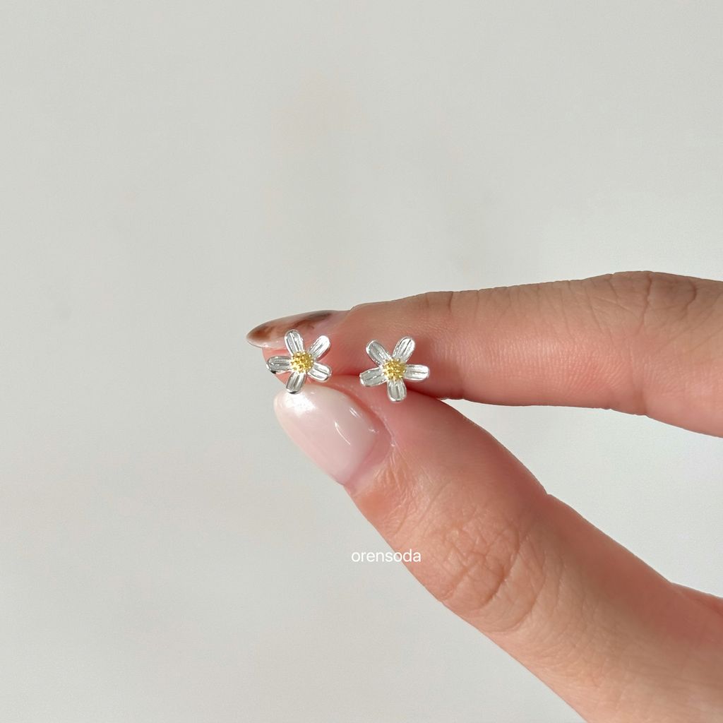 image_67793119-029D-45FB-9226-116F14099845_1763974206