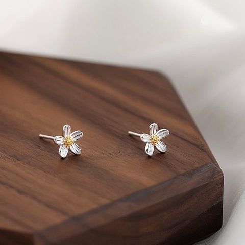 image_AC92C71E-C566-43CF-A7FA-A47881C841AB_1763976097