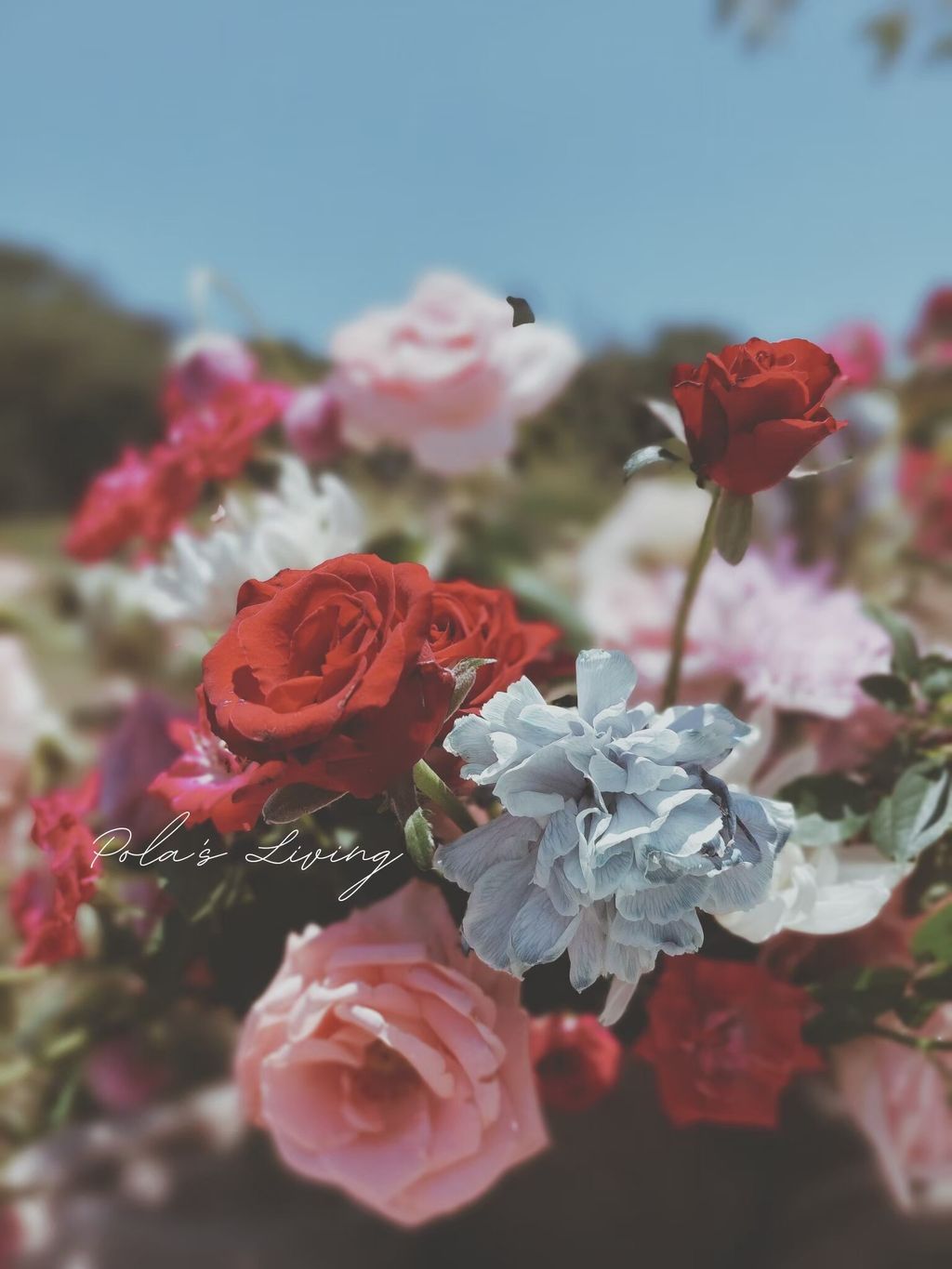 LINE_ALBUM_［花藝作品參考歡迎成品或課程私訊預訂］_260424_84