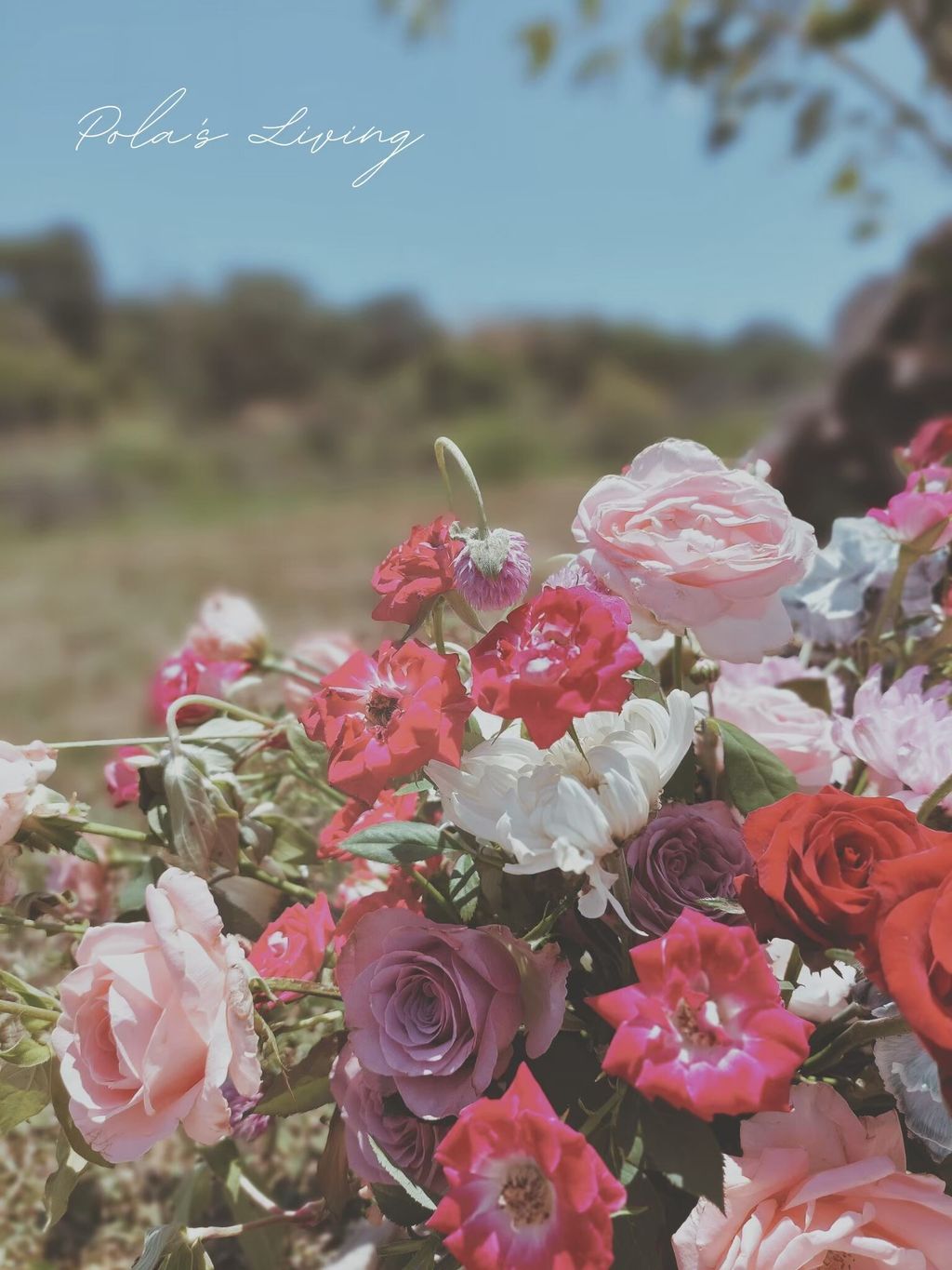 LINE_ALBUM_［花藝作品參考歡迎成品或課程私訊預訂］_260424_85