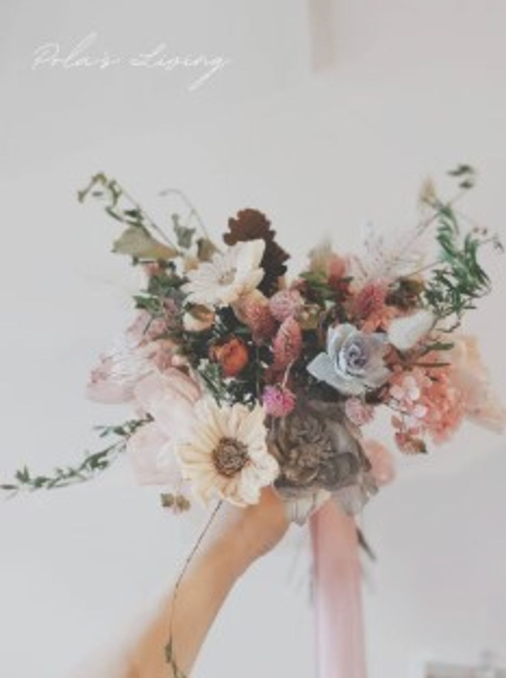 螢幕擷取畫面 2026-04-25 163122