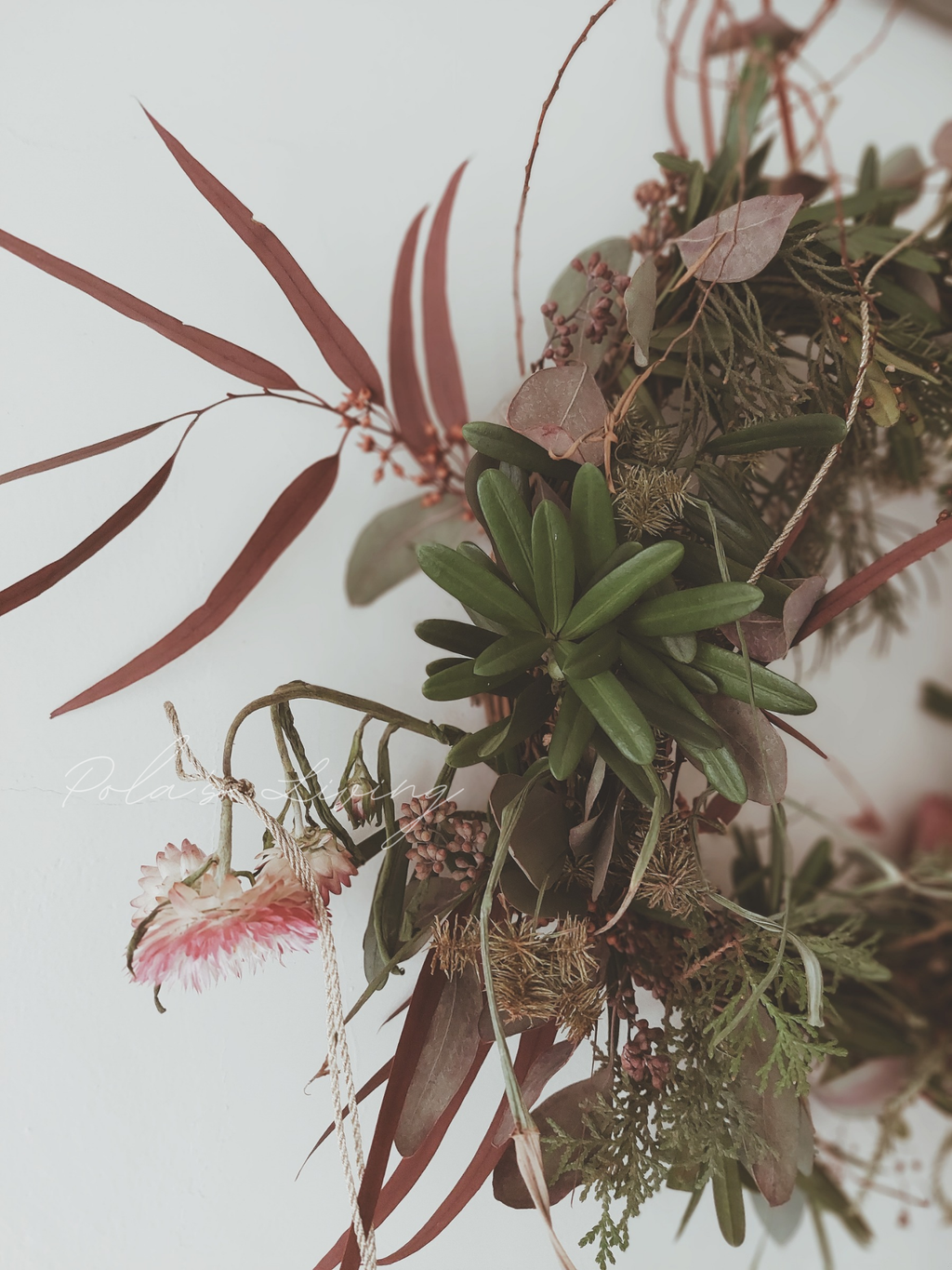 Pola's Living 的複本_20251118_180138_0000