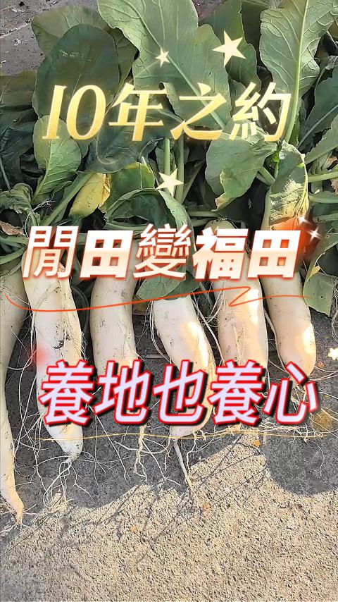 #慶祐#食農教育#白玉蘿蔔#醬羅蔔#友善種植#農村再生 #從產地到餐桌'@田中公立幼兒園@田中鎮公所🥕