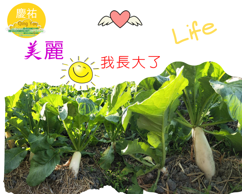 滋味