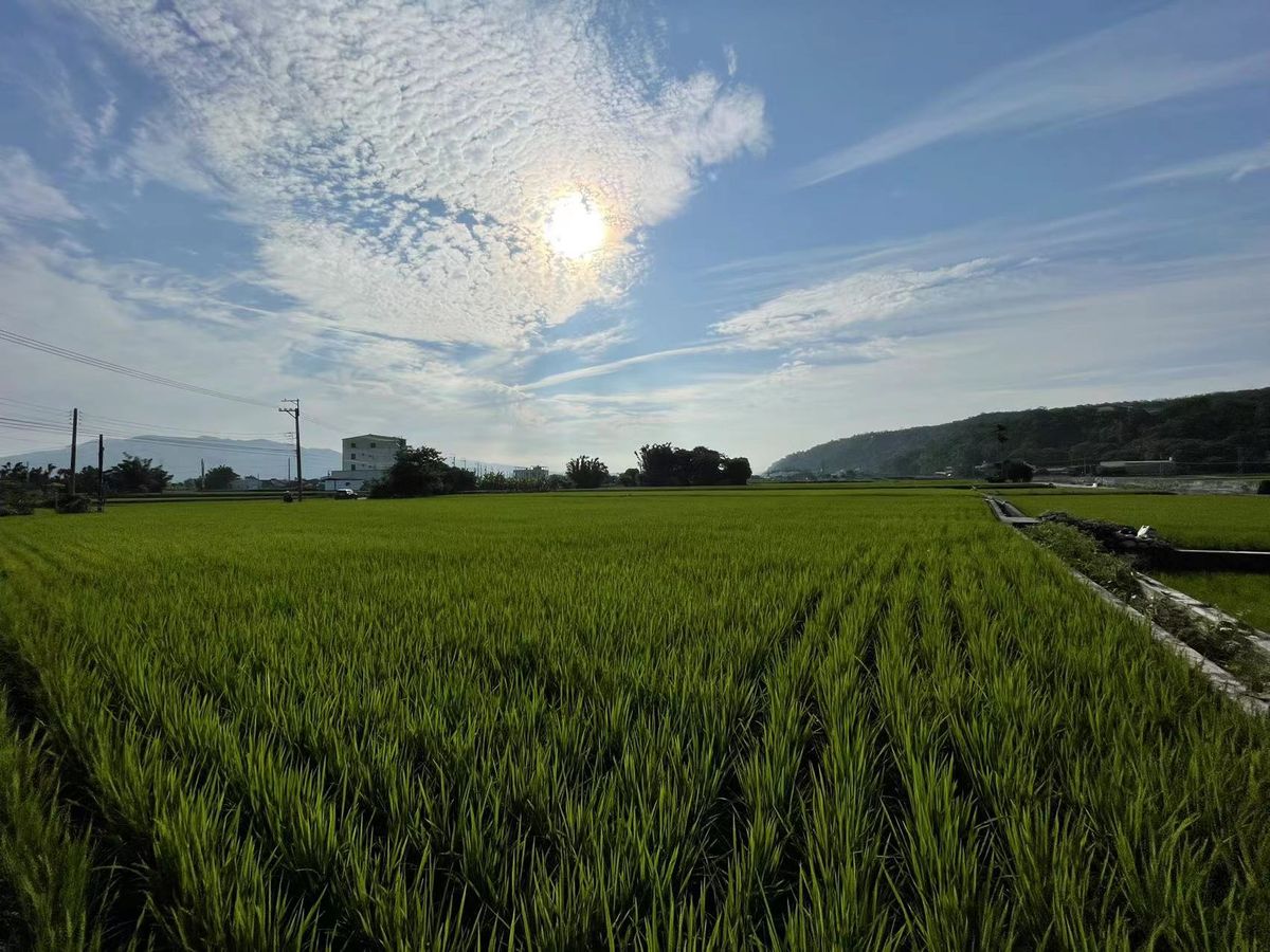 善念-天佑台灣福地