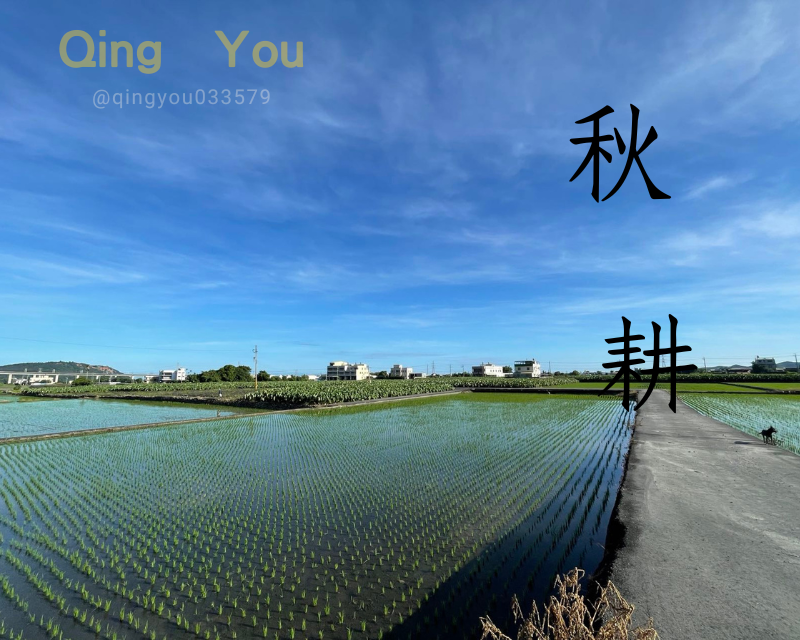 夏收 秋耕