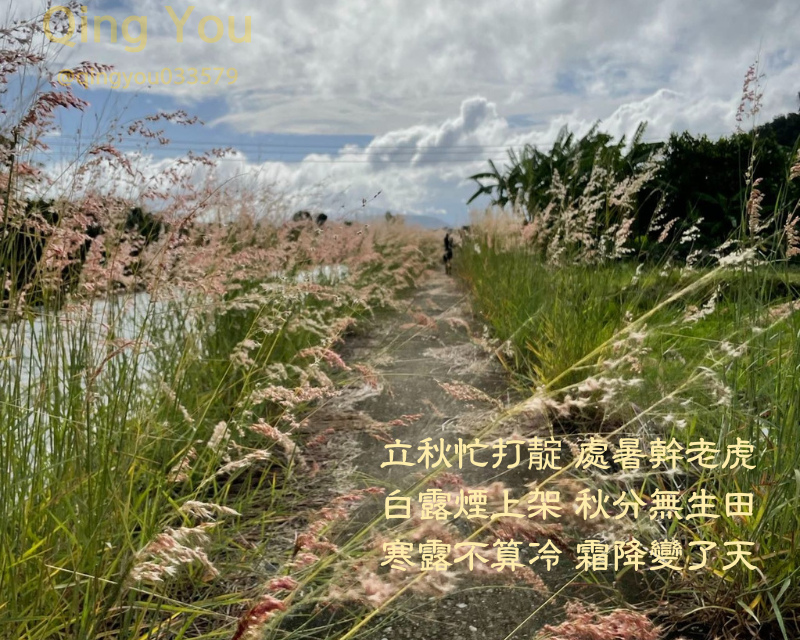 立秋