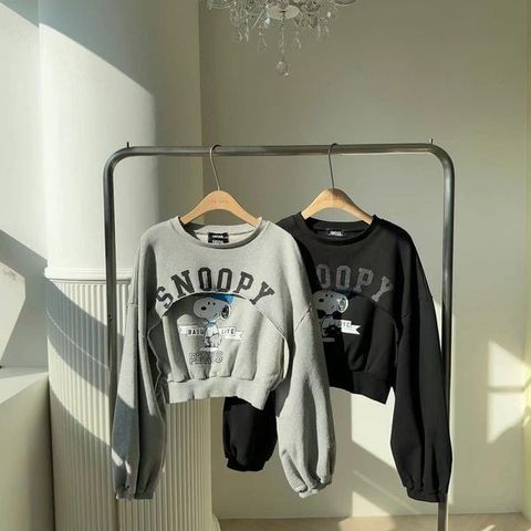 463972169_8335726123191363_919510750706182600_n