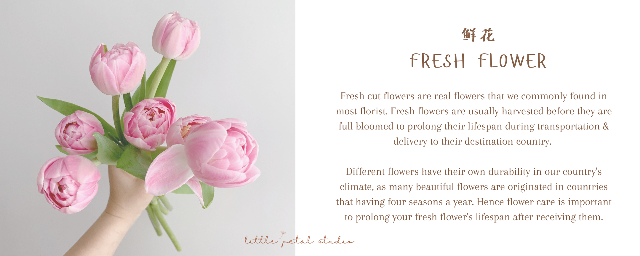 Website launch Sale (4)