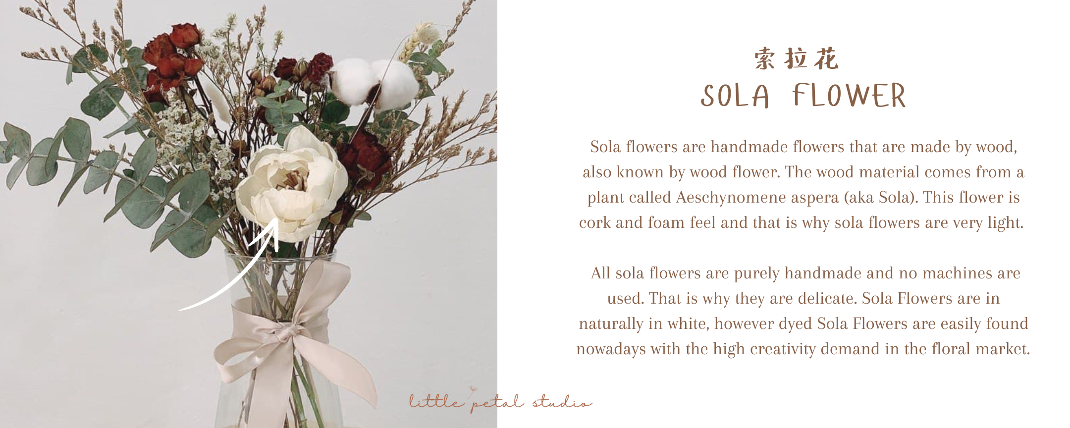 Website launch Sale (2)